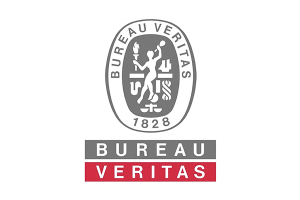 BV Certified Forklift Boom Heavy Duty Material Lifting Extension Container Unloading Extending Boom China Supplier 